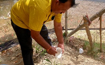 विश्व पर्यावरण दिवस पर मौन एवं उपवास कार्यक्रम सम्पन्न