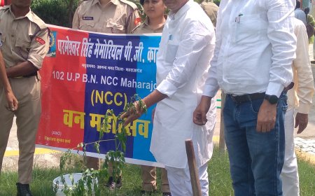 एनसीसी कैडेट्स ने किया वन महोत्सव का आयोजन