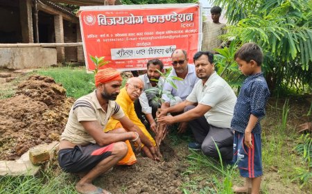 आने वाली पीढ़ियों को सुरक्षित रखने के लिए एक वृक्ष अवश्य लगाएं