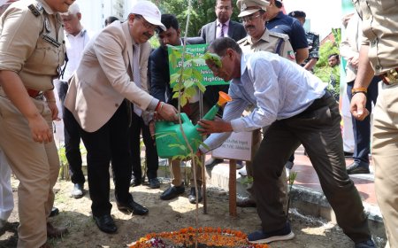 इलाहाबाद उच्च न्यायालय लखनऊ खण्डपीठ में वृहद वृक्षारोपण जन-महाअभियान का आयोजन