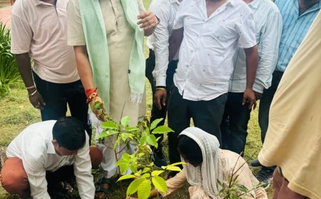 क्षेत्रीय उपाध्यक्ष भाजपा लखनऊ, राजीव मिश्र ने किया वृक्षारोपण