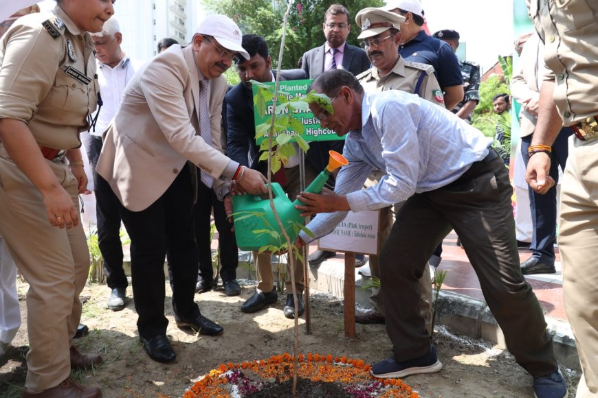 इलाहाबाद उच्च न्यायालय लखनऊ खण्डपीठ में वृहद वृक्षारोपण जन-महाअभियान का आयोजन