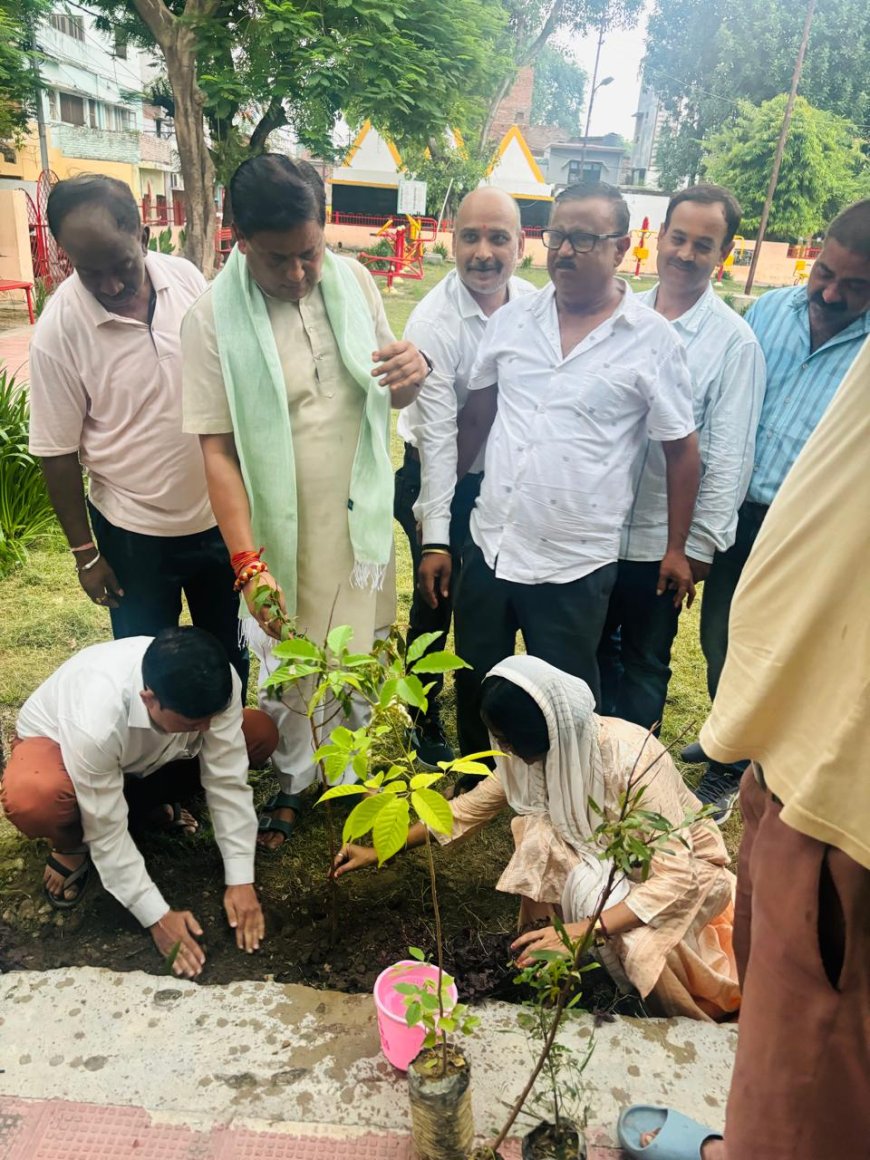 क्षेत्रीय उपाध्यक्ष भाजपा लखनऊ, राजीव मिश्र ने किया वृक्षारोपण