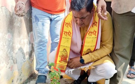 ममता चैरिटेबल ट्रस्ट ने किया वृक्षारोपण का आयोजन