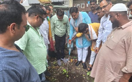 पेड़ लगाना ही उद्देश्य नहीं, पेड़ों की सेवा और बचाव होना चाहिए लक्ष्य - राजीव मिश्र