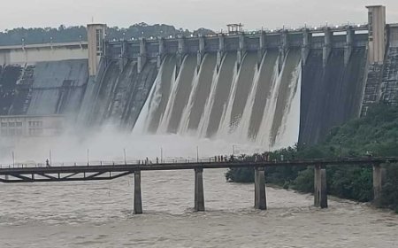 Monsoon Alert: अगस्त में झमाझम बारिश,रिहंद डैम के 7 फाटक खुले, बिहार में अलर्ट घोषित