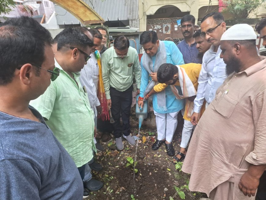 पेड़ लगाना ही उद्देश्य नहीं, पेड़ों की सेवा और बचाव होना चाहिए लक्ष्य - राजीव मिश्र