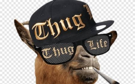 नौगढ़ में ठगों ने बनाया डॉक्टर को शिकार  एक क्लिक से साढ़े तीन लाख उड़ाए