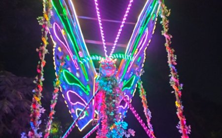 एनटीपीसी शक्तिनगर में कबाड़ से निर्मित तितली रचनात्मकता और कौशल का बेहतरीन नमूना