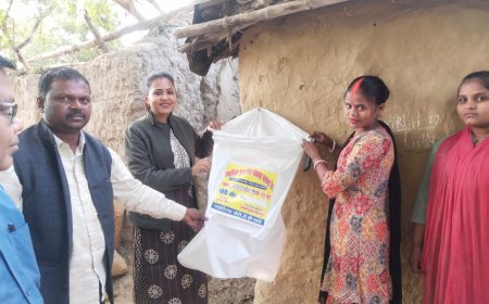 भवानीपुर में प्लास्टिक फ्री अभियान का डीपीआरओ ने किया निरीक्षण