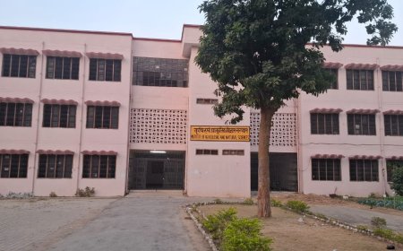 कैंसर,प्रीमेच्योर डिलीवरी,अबार्शन के बढ़ते मामलों के पीछे रासायनिक उर्वरकों का खेल