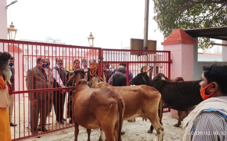 गोवंश हमारी संस्कृति और अर्थव्यवस्था का अभिन्न अंग है:-अध्यक्ष गो सेवा आयोग