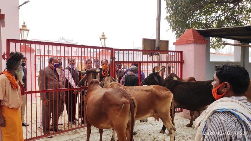 गोवंश हमारी संस्कृति और अर्थव्यवस्था का अभिन्न अंग है:-अध्यक्ष गो सेवा आयोग