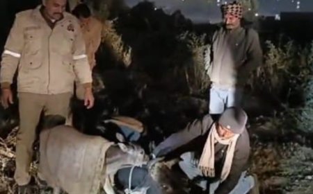 डायल 112 पुलिस की टीम ने गर्भवती गाय की बचाई जान