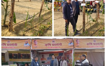 गोरखपुर महोत्सव में लगी आकर्षक कृषि प्रदर्शनी