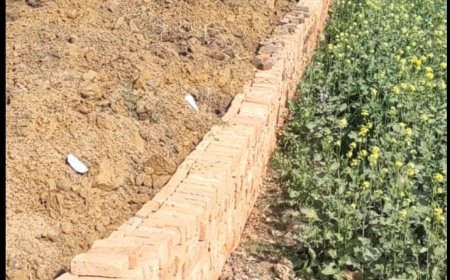 भू माफिया द्वारा वकील की भूमि पर कब्जा करने की कोशिश, पुलिस ने समय रहते कार्यवाही कर रुकवाया