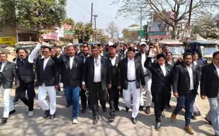 मांगों को लेकर अधिवक्ताओं ने निकाला जुलूस किया प्रदर्शन