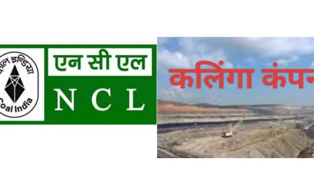 आउटसोर्स के दुष्प्रभावों का आकलन करेगी टीम हजारों करोड़ के कार्यों में मनमानी का आरोप