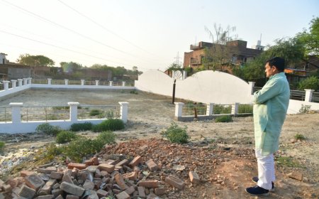 ऊर्जा मंत्री ने मऊ में विकास  कार्यों का किया स्थलीय निरीक्षण