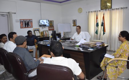 Sonbhadra:जंगल में आग की घटनाओं को रोकने की  व्यापक व्यवस्थाएं सुनिश्चित करायें डी0एफ0ओ0 - जिलाधिकारी