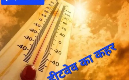 हीटवेव को देखते हुए भर्ती मरीजों के लिए उपयुक्त दवाओं का समुचित स्टाक रखा जाए:- सचिव राजस्व