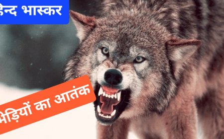 भेड़िया का आतंक,घर में मां के साथ सो रहे मासूम को उठाया