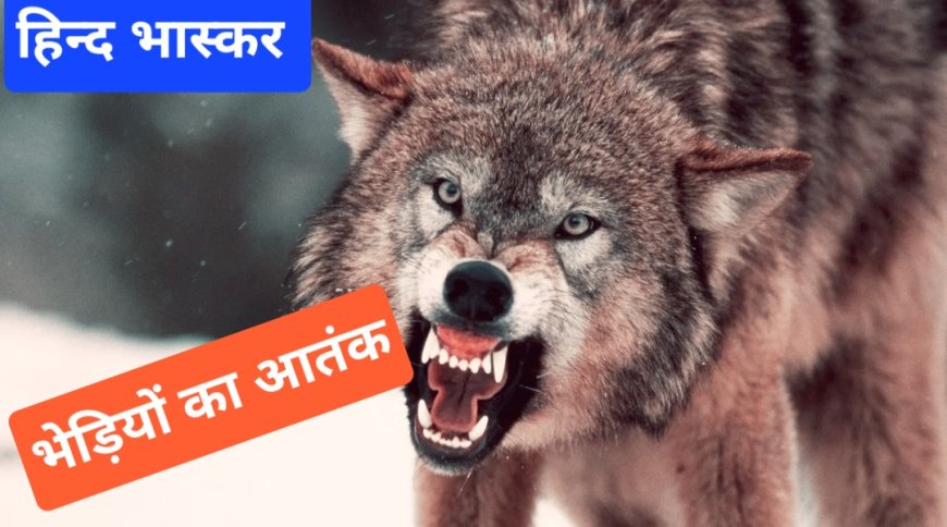 भेड़िया का आतंक,घर में मां के साथ सो रहे मासूम को उठाया