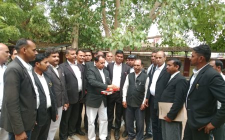 पीएम मोदी जिंदाबाद के नारों के साथ अधिवक्ताओं ने  मिठाइयां खिलाकर जश्न मनाया