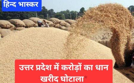 सहकारिता विभाग में करोड़ों का घोटाला,पीसीएफ मुख्यालय के कई अधिकारी जांच के घेरे में