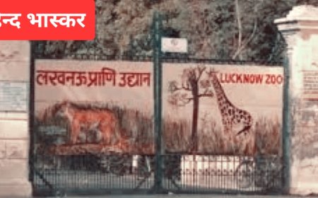 बर्ड फ्लू का आतंक, प्रदेश के सभी चिड़ियाघरों को एक सप्ताह के लिए किया गया बंद