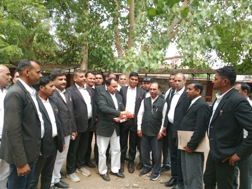 पीएम मोदी जिंदाबाद के नारों के साथ अधिवक्ताओं ने मिठाइयां खिलाकर जश्न मनाया