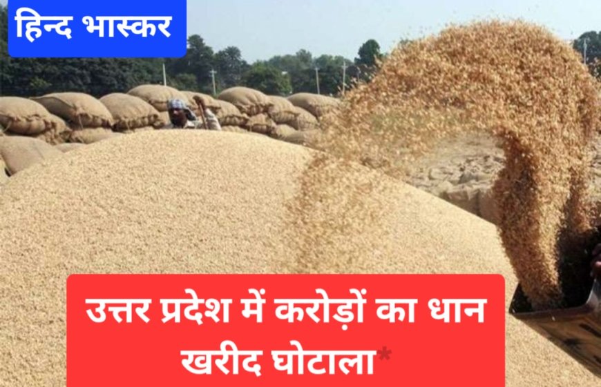 सहकारिता विभाग में करोड़ों का घोटाला,पीसीएफ मुख्यालय के कई अधिकारी जांच के घेरे में