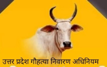 प्रतिबंधित गौ मांस तस्करी में वांछित अभियुक्त गिरफ्तार