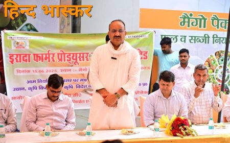 एफपीओ ने रचा नया इतिहास, प्रदेश के आम की खुशबू  विदेशों तक पहुंची