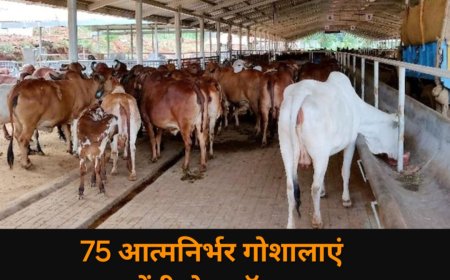 योगी सरकार का बड़ा कदम, युवाओं को उनके गांव में मिलेगा रोजगार