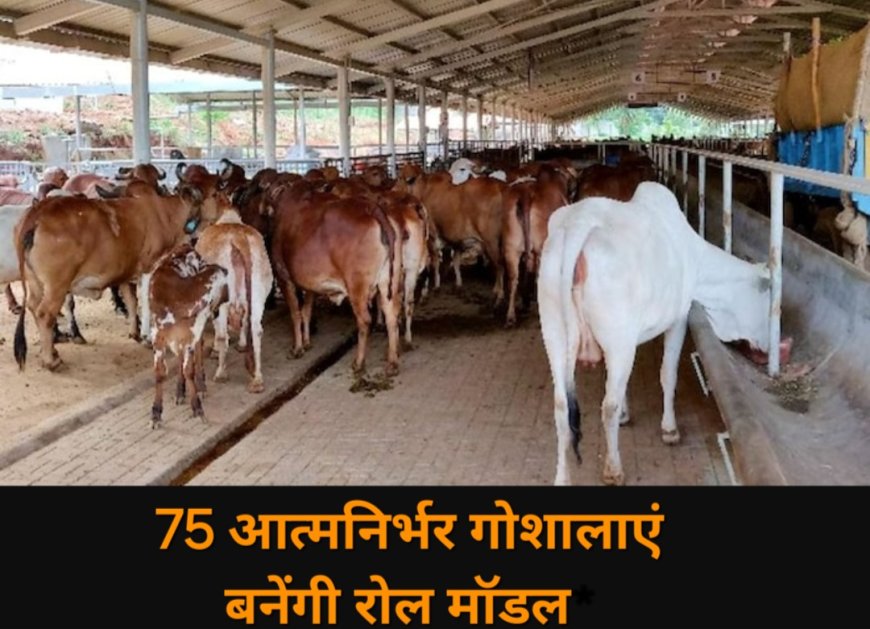 योगी सरकार का बड़ा कदम, युवाओं को उनके गांव में मिलेगा रोजगार