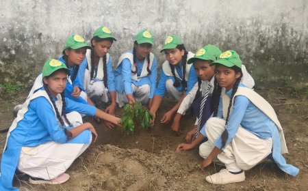 एक वृक्ष मां के नाम; धरा को करना है हरा भरा