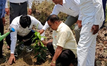 एपीजीसीई गोरखपुर सिटी चैप्टर ने  भी किया वृक्षारोपण ; डीएलएड कालेज को दिया वाटर कूलर