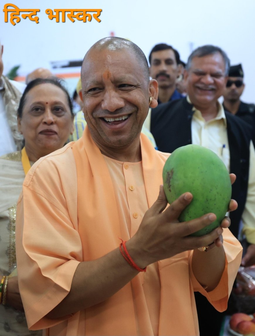 देशभर के बागानों से चुनकर लाए गए 800 से अधिक किस्मों के आमों की लगी प्रदर्शनी