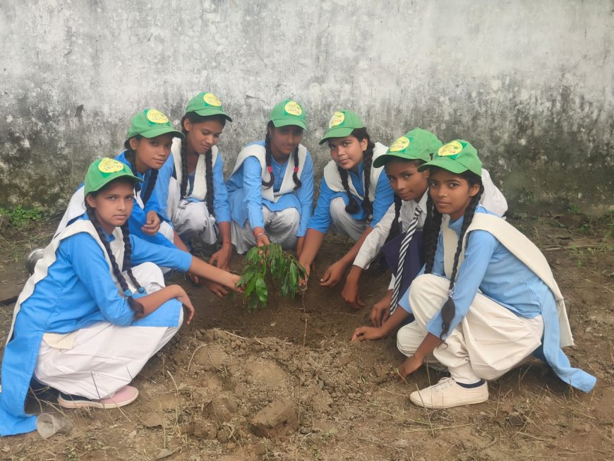 एक वृक्ष मां के नाम; धरा को करना है हरा भरा