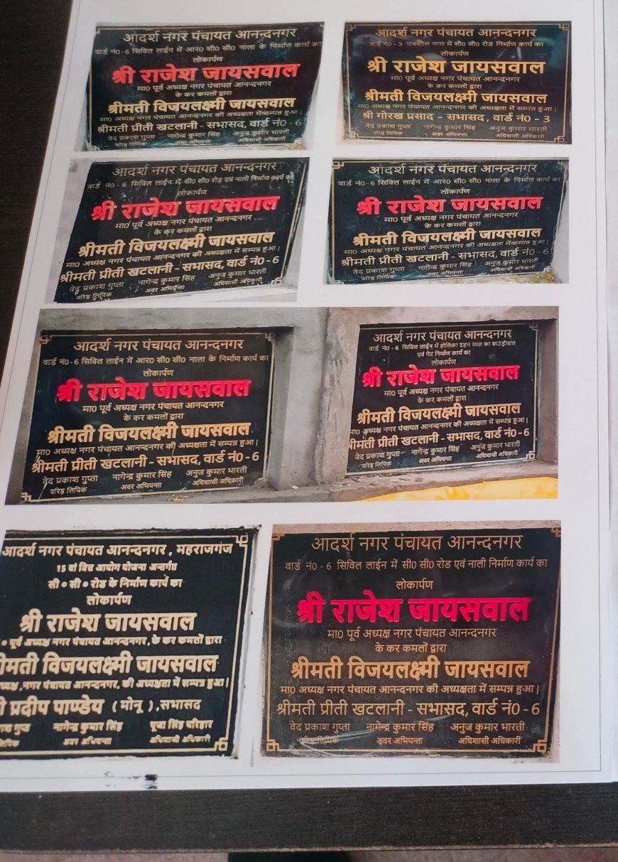 कांग्रेस पार्टी ने जिलाधिकारी से मिलकर नगर पंचायत में शासनादेश के उलंघन का मामला उठाया