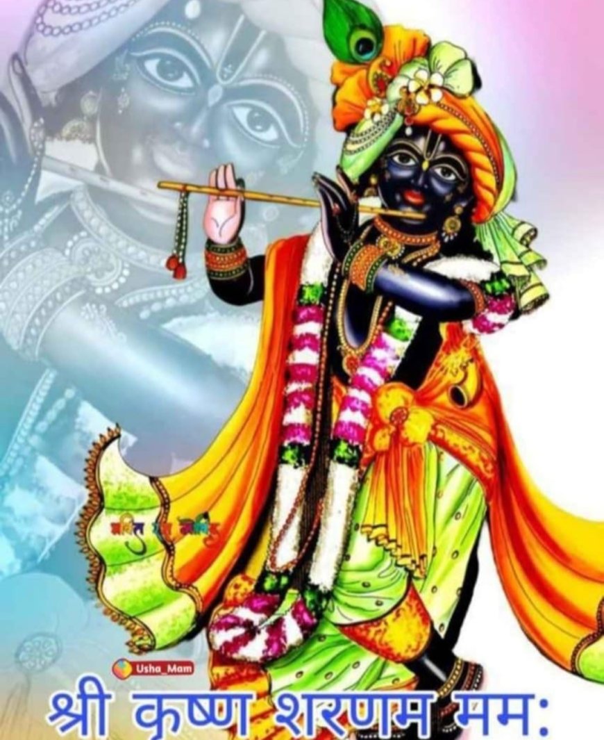 समय, संबंध, संवेदना और संस्कृति के शोधन का आधार हैं श्रीकृष्ण