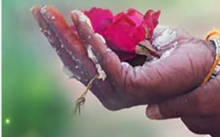 पितृपक्ष - अपनों के प्रति श्रद्धा ही सच्चा श्राद्ध