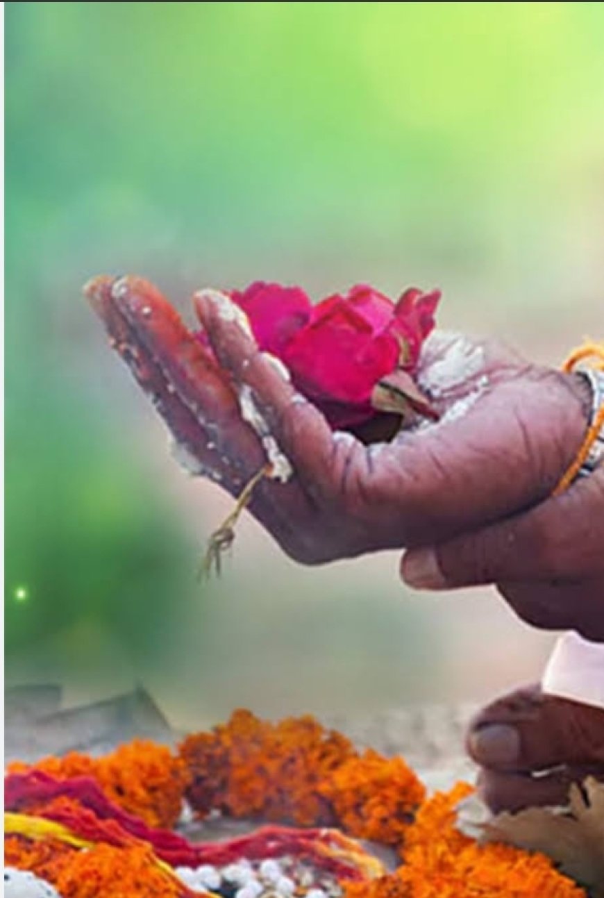 पितृपक्ष - अपनों के प्रति श्रद्धा ही सच्चा श्राद्ध