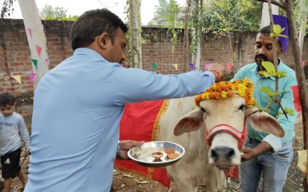 भारतीय संस्कृति का महापर्व : गोपाष्टमी