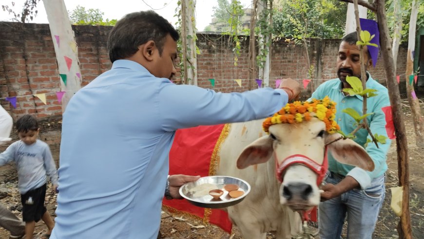 भारतीय संस्कृति का महापर्व : गोपाष्टमी
