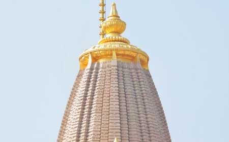 'संपूर्ण विश्व को अपने आलोक से सुख-शांति प्रदान करने वाला धर्म ध्वज फिर से हुआ शिखर पर विराजमान : डॉ. मोहन भागवत