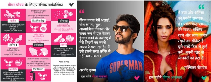 ग्लोबल चैरिटी विगन्युअरी ने अपना फ्री कोर्स हिंदी में लॉन्च किया