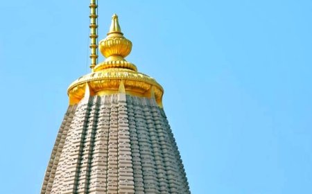 सनातन मूल्यों की जिजीविषा। -डॉ सत्येन्द्र कुमार,  सीईओ - यूनिवर्सल कम्युनिकेशन मीडिया सेंटर ( यूसीएमसी)।