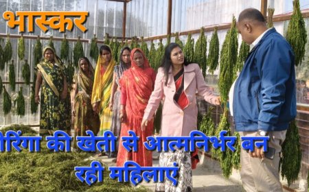 मोरिंगा की खेती से आत्मनिर्भर बन रहीं प्रदेश की बेटियां